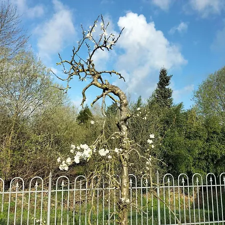 Ferienhaus Unieke Landelijke Woning Met Zwembad *
