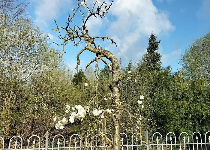 Hébergement de vacances Unieke Landelijke Woning Met Zwembad *